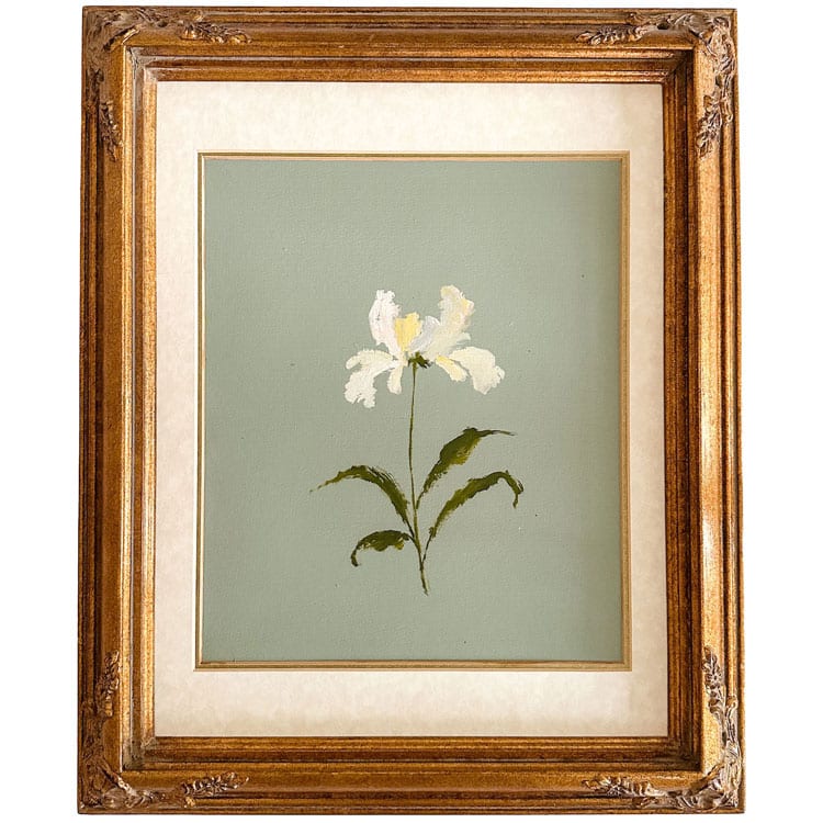 Anee Shah - Guest Artist