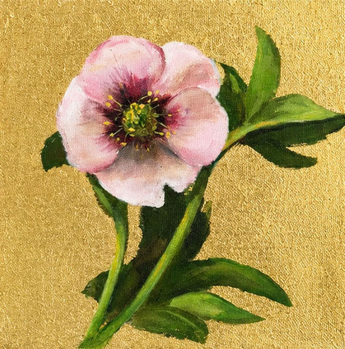 Sarah Virginia - Guest Artist